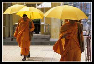 Buddhist Monks_25.jpg